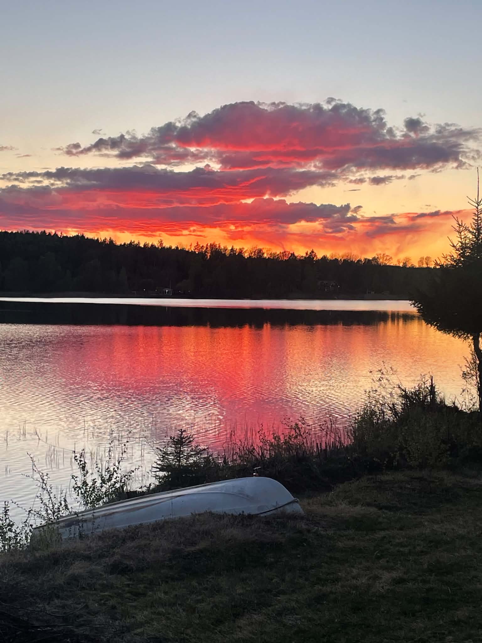 De första sommardagarna